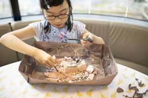 Skelet dinosaura - Brachiosaurus