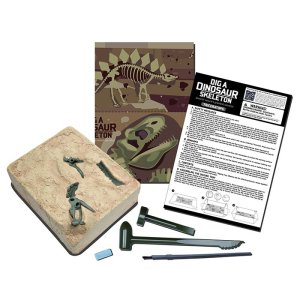 Dinosaur skelet - Triceratops