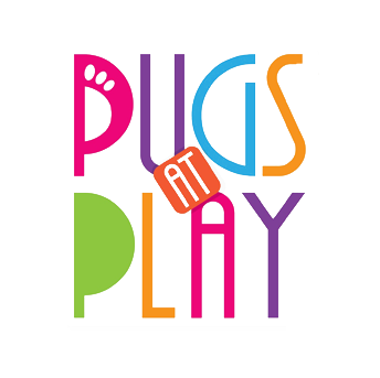 Pugs at Play